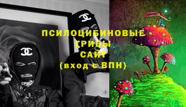 соль курить ск Алзамай